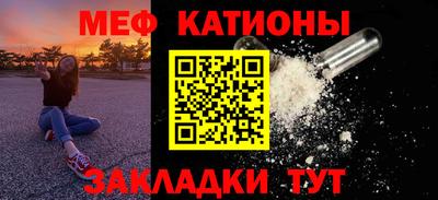 стаф Гай