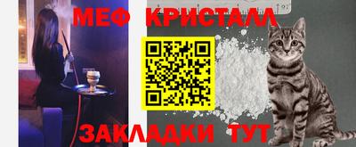 стаф Гай