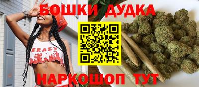 стаф Гай