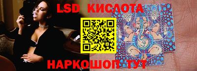 стаф Гай