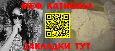 стаф Гай