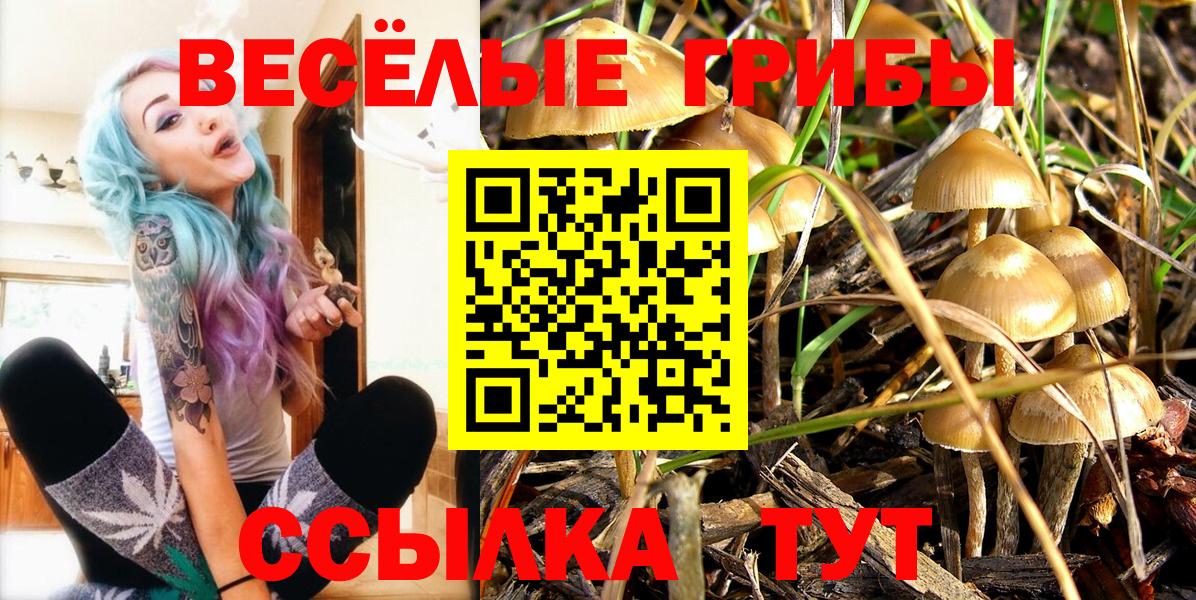 Муром  Псилоцибиновые грибы Magic Shrooms  Псилоцибиновые грибы прущие грибы  Вход с VPN 