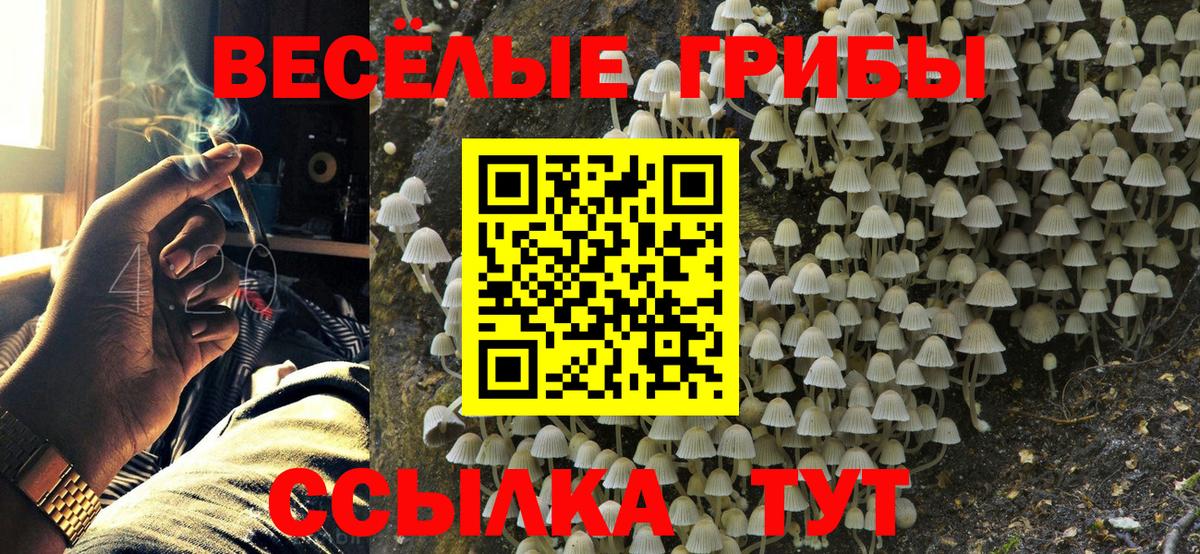 Галлюциногенные грибы мицелий Муром